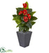 Silk Plants Direct Anthurium Artificial Plant - Pack of 1