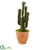 Silk Plants Direct Cactus Artificial Plant - Pack of 1