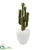 Silk Plants Direct Cactus Artificial Plant - Pack of 1