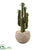 Silk Plants Direct Cactus Artificial Plant - Pack of 1