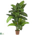 Silk Plants Direct Dieffenbachia - Green - Pack of 1