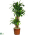 Silk Plants Direct Dracena - Green - Pack of 1