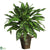 Silk Plants Direct Silver King - Green - Pack of 1