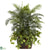 Silk Plants Direct Double Areca - Green - Pack of 1