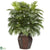 Silk Plants Direct Areca Palm - Green - Pack of 1