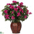 Silk Plants Direct Bougainvillea - Beauty - Pack of 1