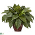 Silk Plants Direct Birdsnest Fern - Green - Pack of 1