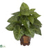 Silk Plants Direct Taro - Green - Pack of 1