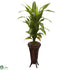 Silk Plants Direct Dracaena - Pack of 1