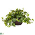 Silk Plants Direct Pothos - Purple - Pack of 1