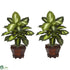 Silk Plants Direct Dieffenbachia - Golden - Pack of 2