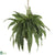 Silk Plants Direct Large Boston Fern Hanging Basket - Pack of 1