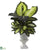 Silk Plants Direct Dieffenbachia - Pack of 1