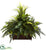 Silk Plants Direct Mixed Grass & River Fern - Pack of 1