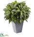 Silk Plants Direct Silver King - Pack of 1