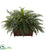 Silk Plants Direct River Fern - Pack of 1