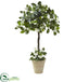 Silk Plants Direct Stephanotis Topiary - Pack of 1