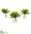 Silk Plants Direct Agave Succulent - Pack of 1