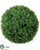 Boxwood Ball - Green - Pack of 4