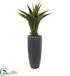 Silk Plants Direct Agave Artificial Plant - Pack of 1