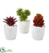 Silk Plants Direct Mixed Succulent Artificial Plant - Pack of 1