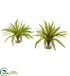 Silk Plants Direct Fern Artificial Plant - Pack of 1