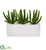 Silk Plants Direct Finger Cactus Artificial Plant - Pack of 1