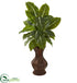 Silk Plants Direct Evergreen Artificial Plant - Pack of 1