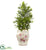 Silk Plants Direct Boxwood Artificial Plant - Pack of 1