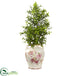 Silk Plants Direct Boxwood Artificial Plant - Pack of 1