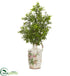 Silk Plants Direct Boxwood Artificial Plant - Pack of 1