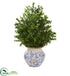 Silk Plants Direct Boxwood Artificial Plant - Pack of 1