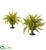 Silk Plants Direct Fern Artificial Plant - Pack of 1