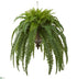 Silk Plants Direct Boston Fern Artificial Plant - Pack of 1