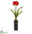 Silk Plants Direct Amaryllis Artificial Plant - Pack of 1