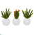 Silk Plants Direct Cactus Succulent Artificial Plant - Pack of 1