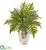 Silk Plants Direct Hares Foot Fern Artificial Plant - Pack of 1