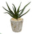 Silk Plants Direct Aloe Artificial Plant - Pack of 1