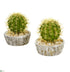 Silk Plants Direct Cactus Artificial Plant - Pack of 1