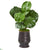 Silk Plants Direct Fiddle Leaf Artificial Plant - Pack of 1