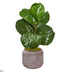 Silk Plants Direct Fiddle Leaf Artificial Plant - Pack of 1