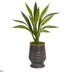 Silk Plants Direct Sansevieria Artificial Plant - Pack of 1