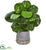 Silk Plants Direct Fiddle Leaf Artificial Plant - Pack of 1