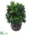 Silk Plants Direct Bamboo Palm Artificial Plant - Pack of 1