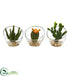 Silk Plants Direct Mixed Succulent Artificial Plant - Pack of 1