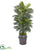 Silk Plants Direct Areca Palm Artificial Plant - Pack of 1