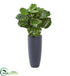 Silk Plants Direct Fiddle Leaf Artificial Plant - Pack of 1