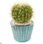 Silk Plants Direct Cactus Artificial Plant - Pack of 1