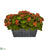 Silk Plants Direct Kalanchoe Artificial Plant - Red - Pack of 1