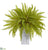 Silk Plants Direct Fern Artificial Plant - Pack of 1